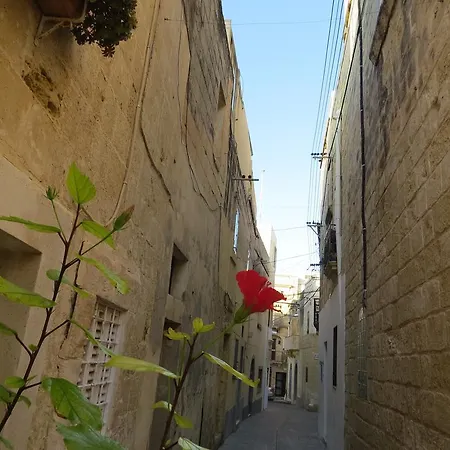 Penzion Vittoria *